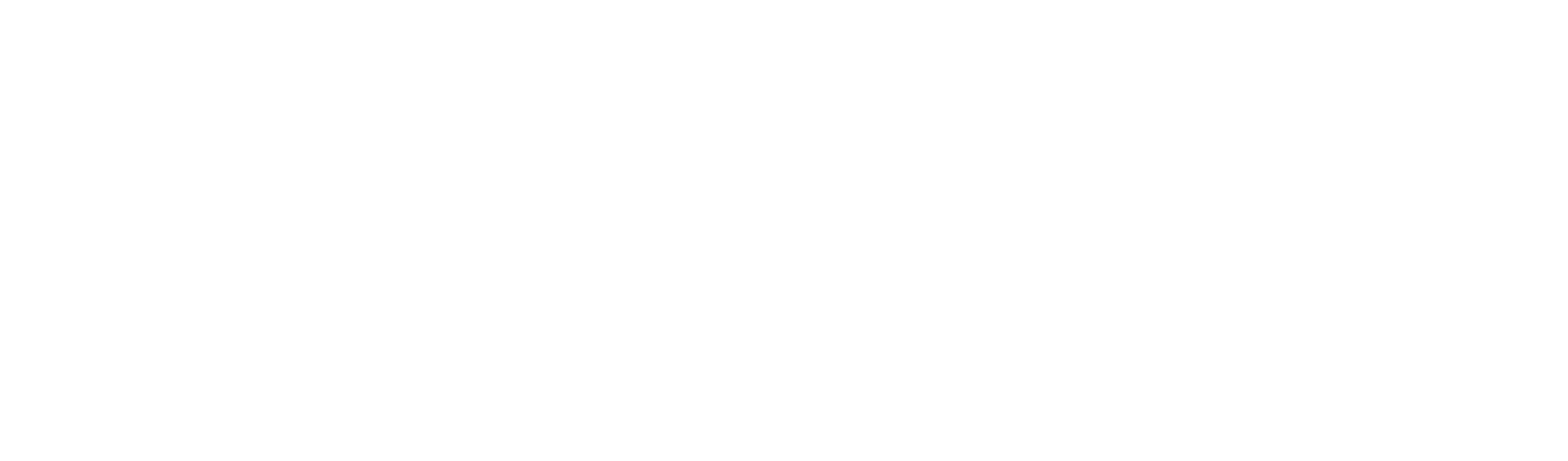 cashdirector logo